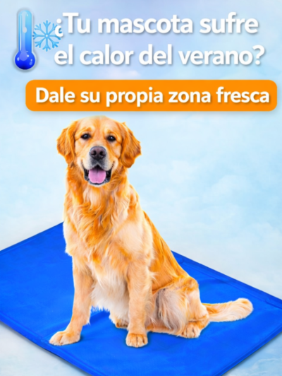 Tu mascota sufre el calor más de lo que creés… y vos podés solucionarlo hoy.